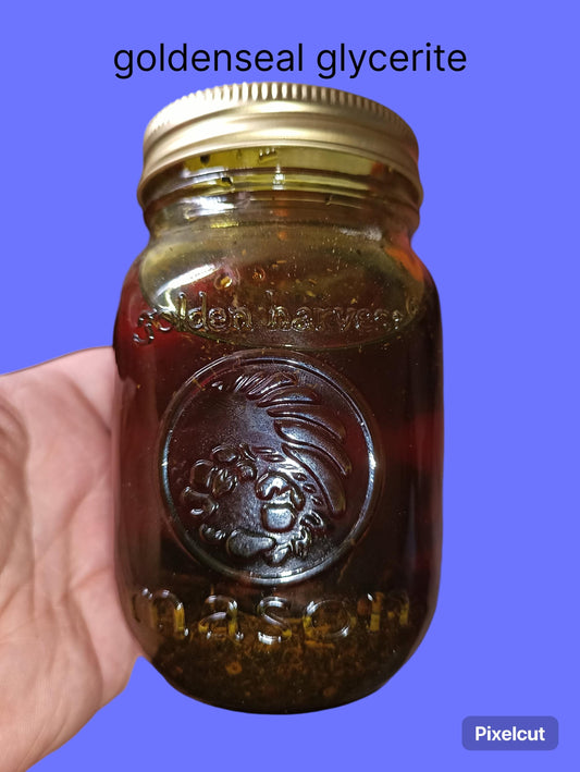 goldenseal glycerite 4oz