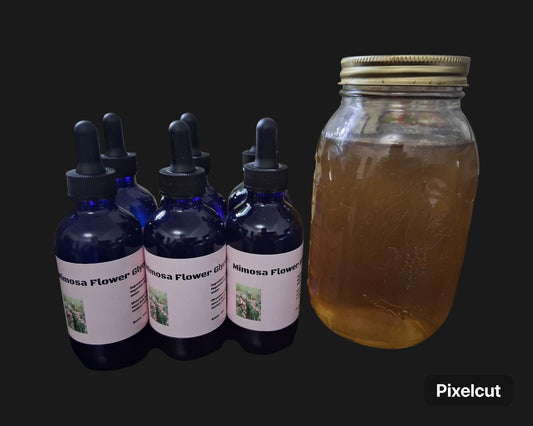 Mimosa flower glycerite